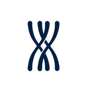 halo hair extensions – fast, healthy and natural | extensões halo – rápidas, saudáveis e naturais